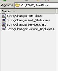 WebLogic 9:Web Services(MD)D