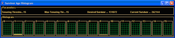 Survivor Age Histogram