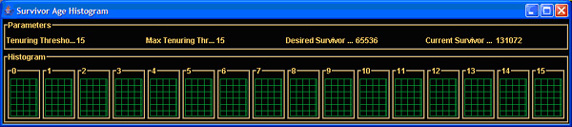 展示關于 Survivor 空間的數據的直方圖窗口