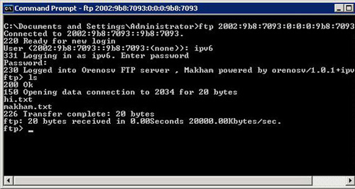 登錄 FTP 服務器