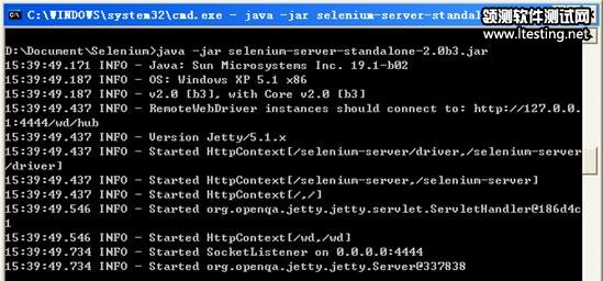 圖 6. Selenium server 啟動成功后的信息